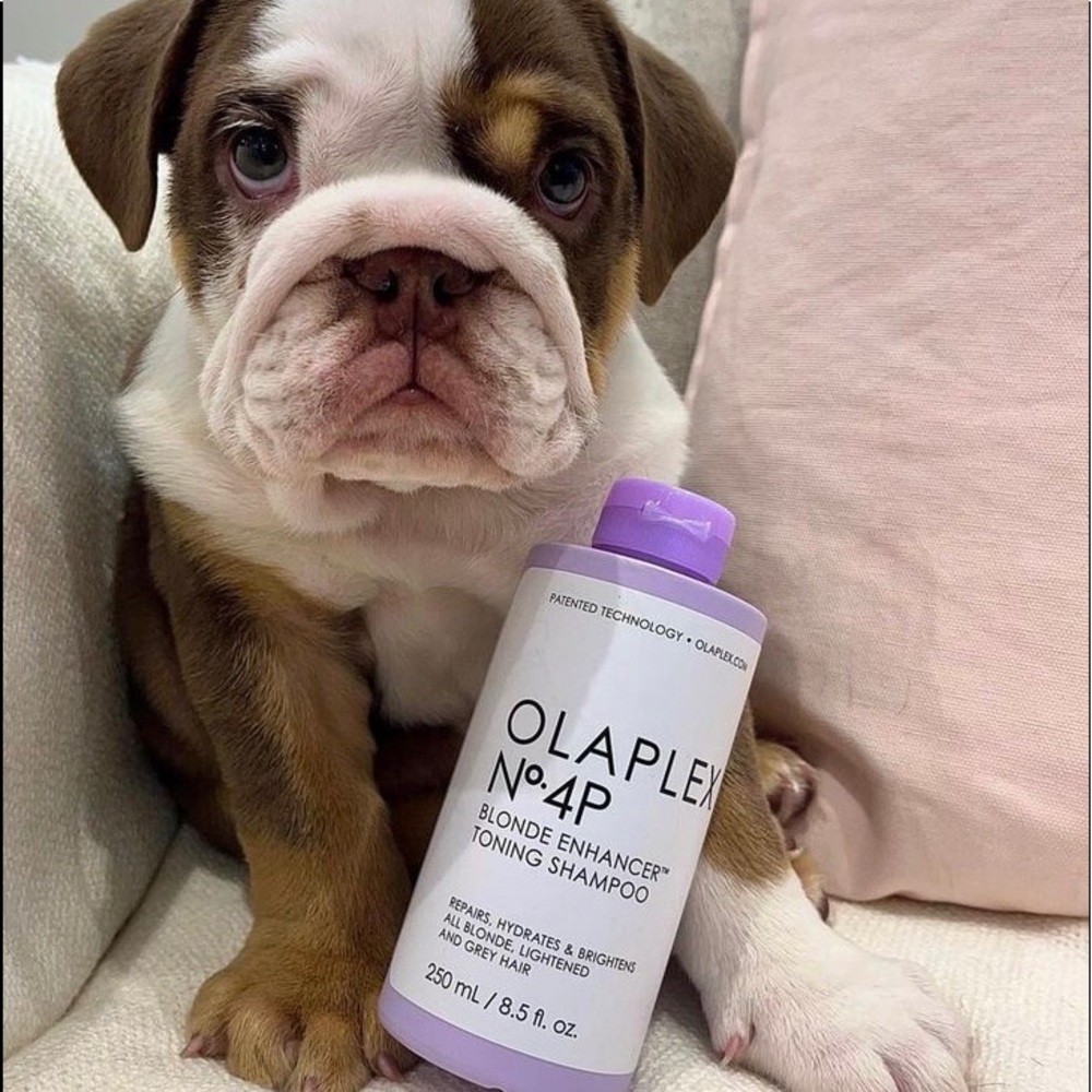 OLAPLEX Purple Shampoo Number 4P Blonde Enhancer Toning Shampoo.